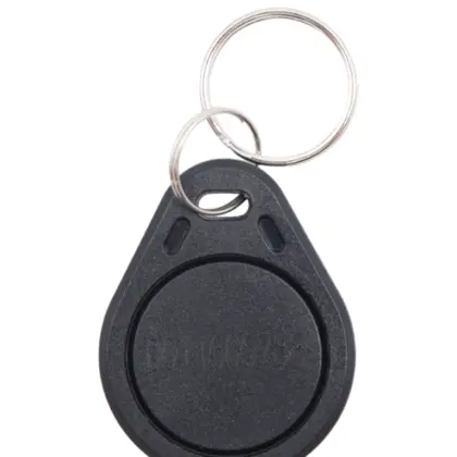 ZKTECO TAG03ID - Bolsa con 100 Llaveros ID con Frecuencia de 125 kHz, con Folio Grabado, Color Negro