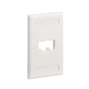 Placa de Pared Vertical Clásica, Salida Para 2 Puertos Mini-Com, Con Espacios Para Etiquetas, Color Blanco Mate