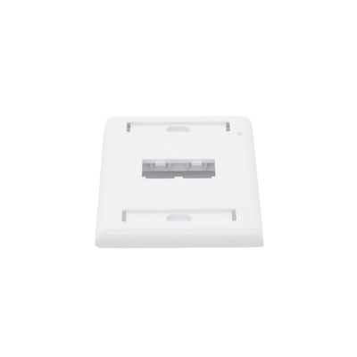 Placa de Pared Vertical Clásica, Salida Para 2 Puertos Mini-Com, Con Espacios Para Etiquetas, Color Blanco - Image 2