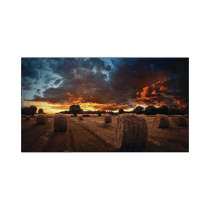 Pantalla Profesional LED de 55" para Video Wall, Full HD (1080p), HDMI/DVI-D/DP, Bisel Ultra Delgado de 2.3mm. Compatible VESA