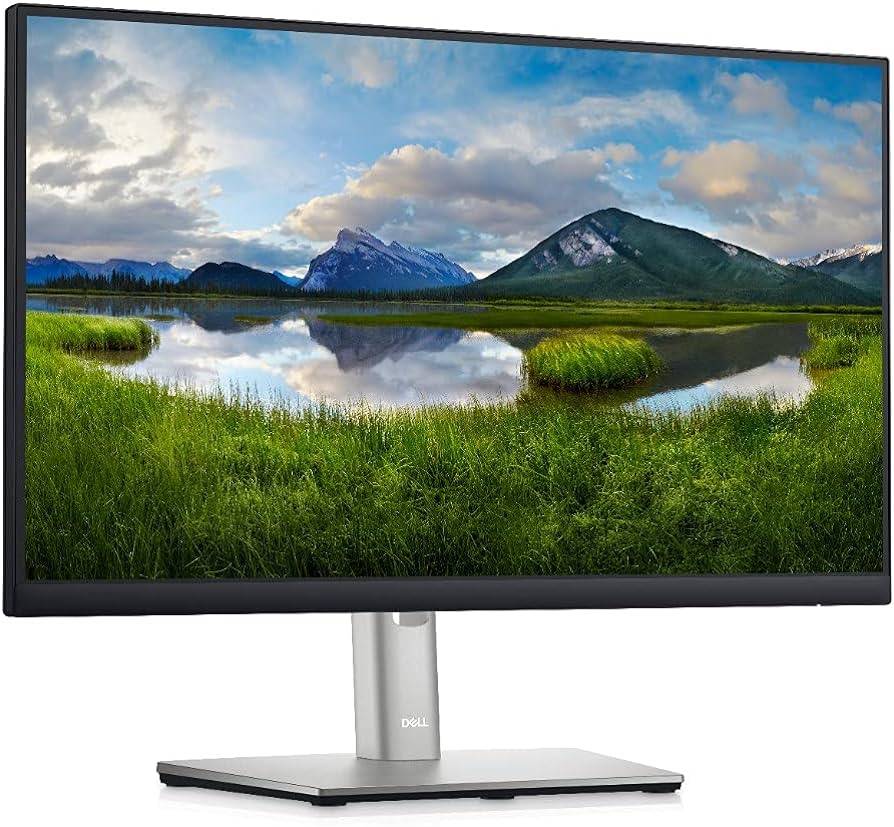 Monitor - Monitor DELL P2225H - 21.5 pulgadas, 1920 x 1080 Pixeles, Negro