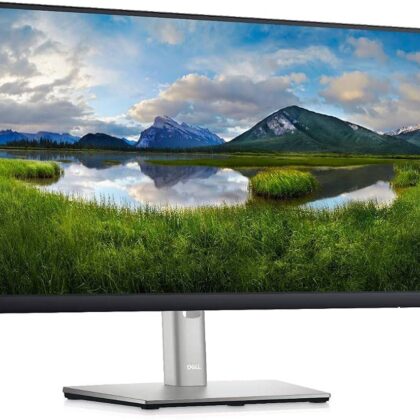 Monitor - Monitor DELL P2225H - 21.5 pulgadas, 1920 x 1080 Pixeles, Negro