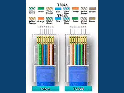 TCE LN-NET-EP670 - Herramienta de Corte y Terminado para Plugs Pass Through RJ45, Acero al Carbón, Mango Ergonómico ABS + TPR. - Image 6